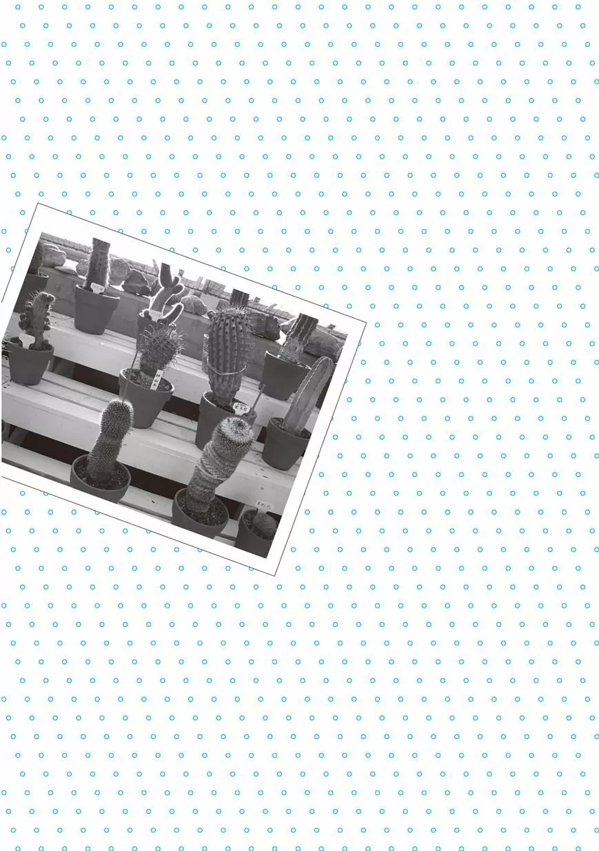 Mikako-san Capítulo 5 - Page 3