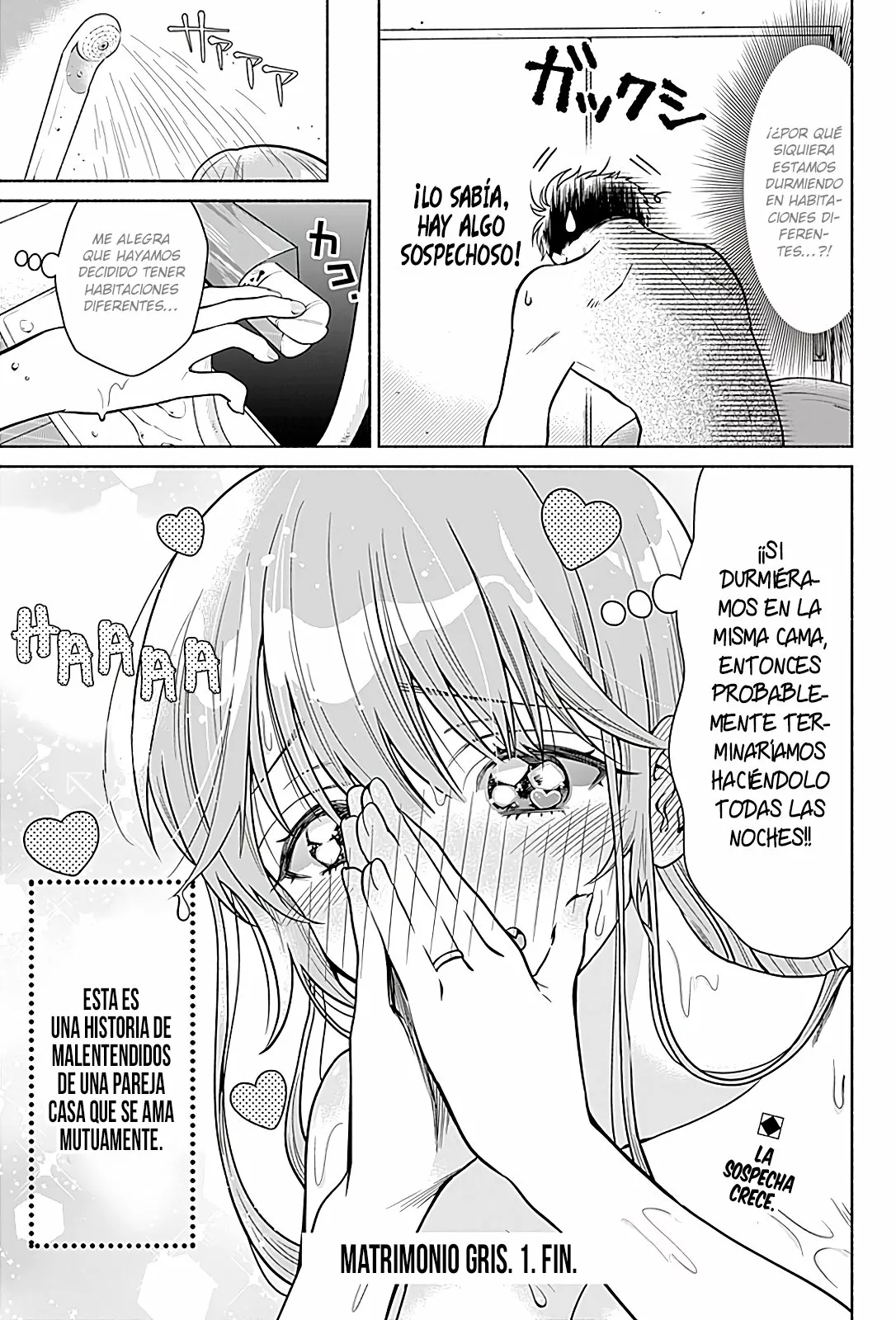 Marriage Gray Capítulo 1 - Page 15