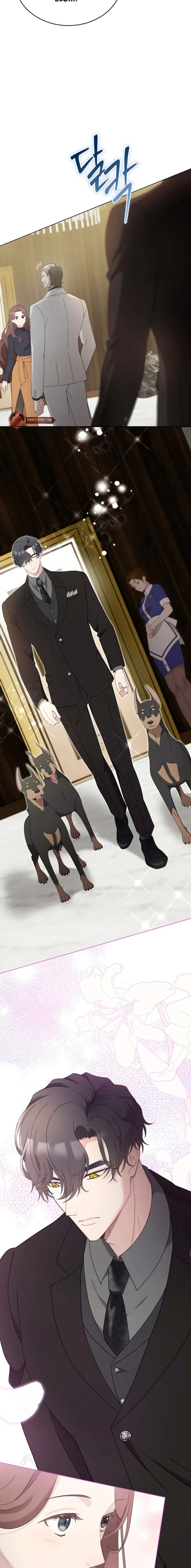 DOBERMAN Capítulo 12 - Page 15