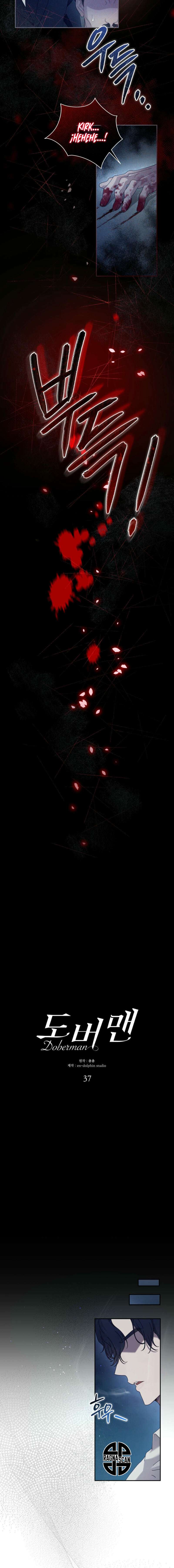 DOBERMAN Capítulo 37 - Page 10