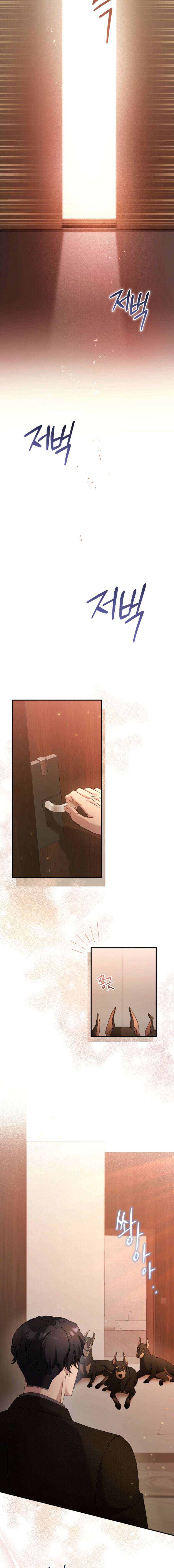 DOBERMAN Capítulo 52 - Page 17