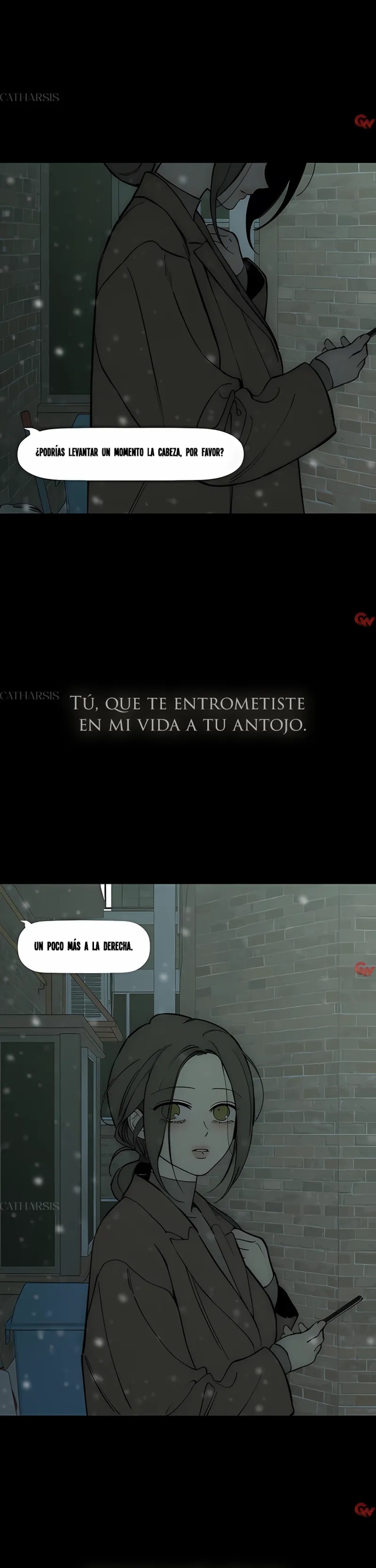 Lágrimas En Las Flores Marchitas Capítulo 89 - Page 9