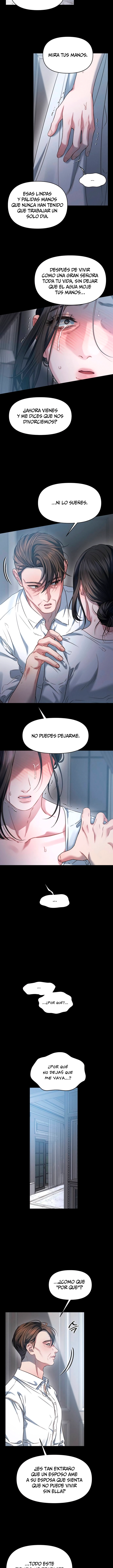 Anhelo Elegante – español Capítulo 102 - Page 11
