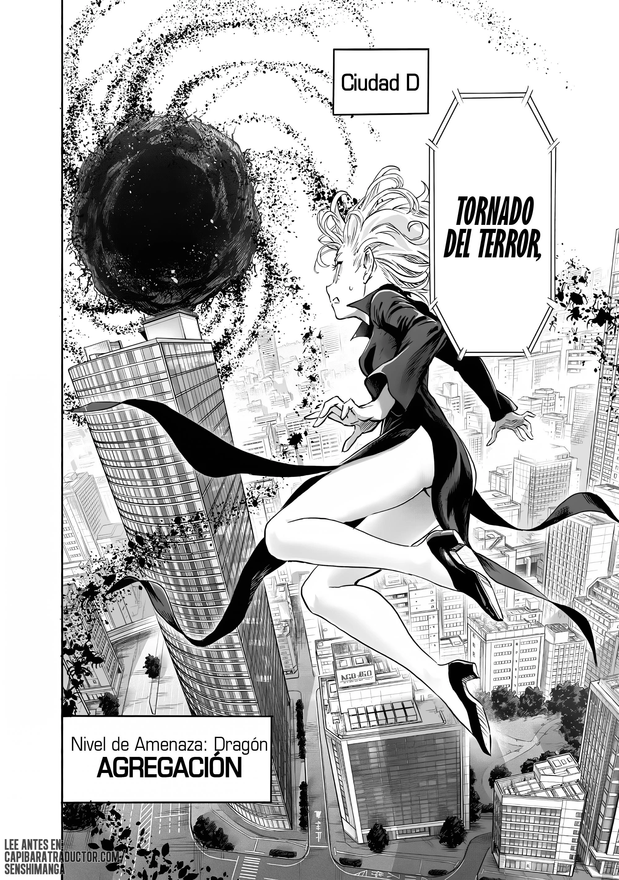 One Punch-Man Capítulo 293 - Page 13