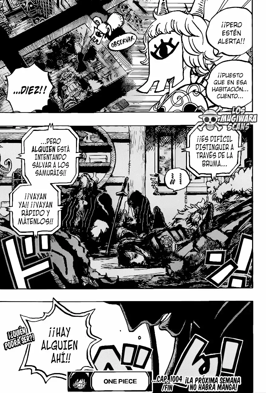 One Piece Capítulo 1004.5 - Page 17