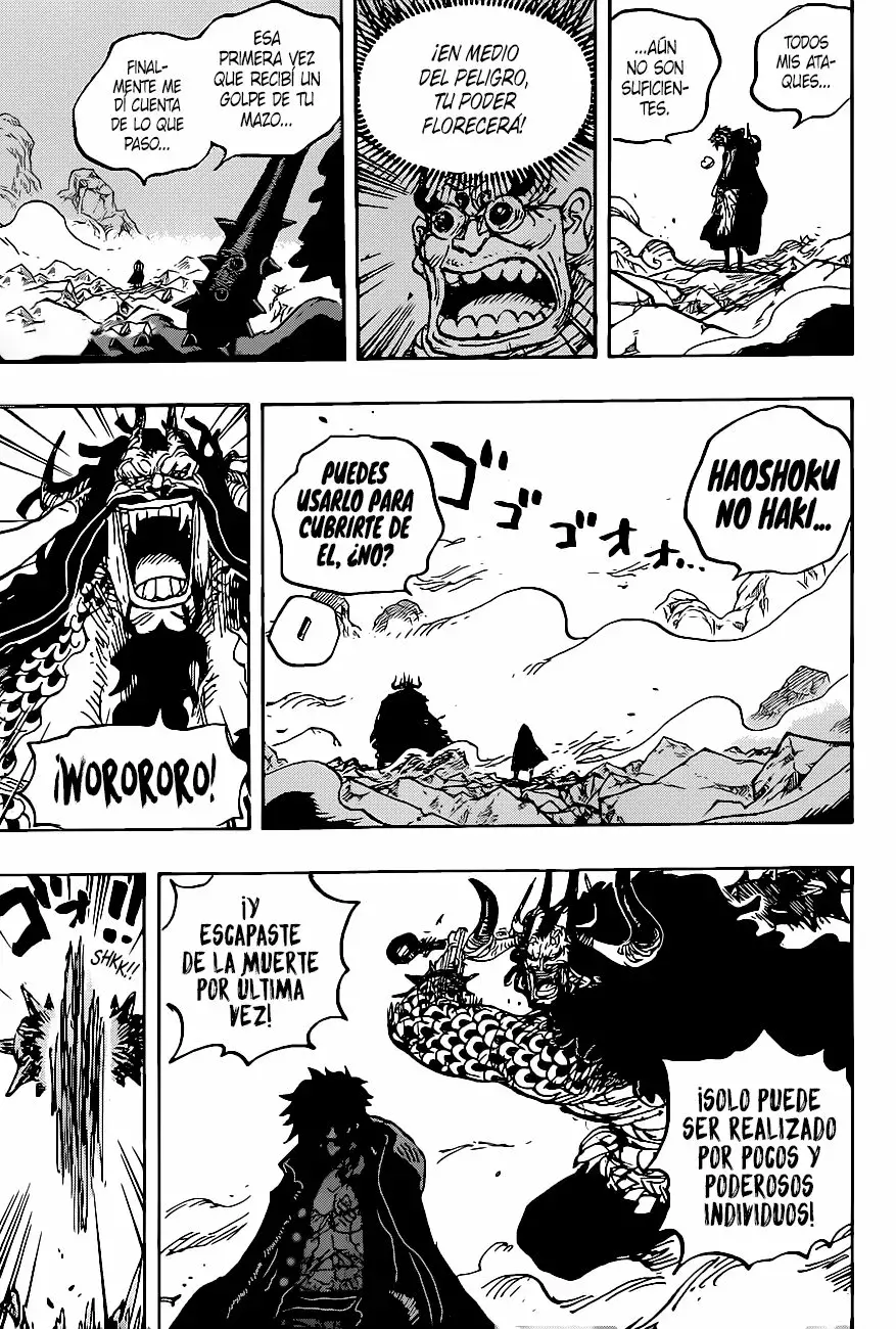 One Piece Capítulo 1010 - Page 13