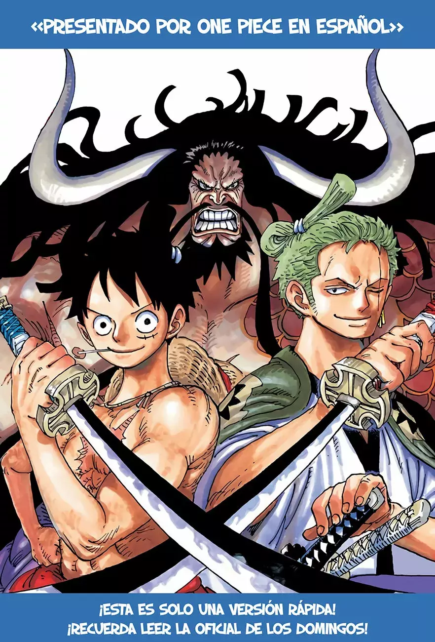 One Piece Capítulo 1010 - Page 21