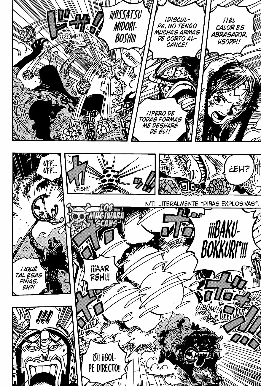 One Piece Capítulo 1011.5 - Page 15