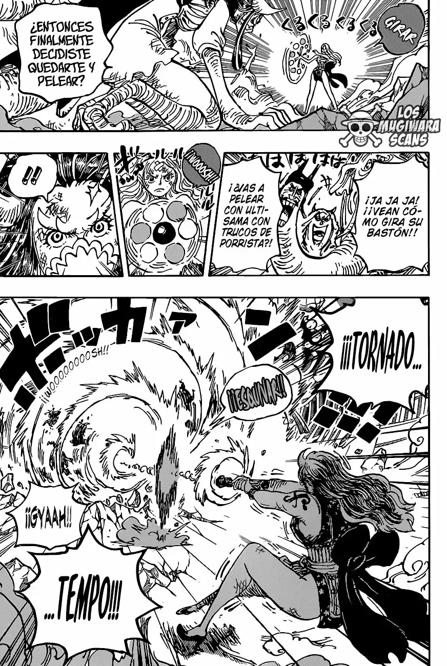 One Piece Capítulo 1013.5 - Page 4