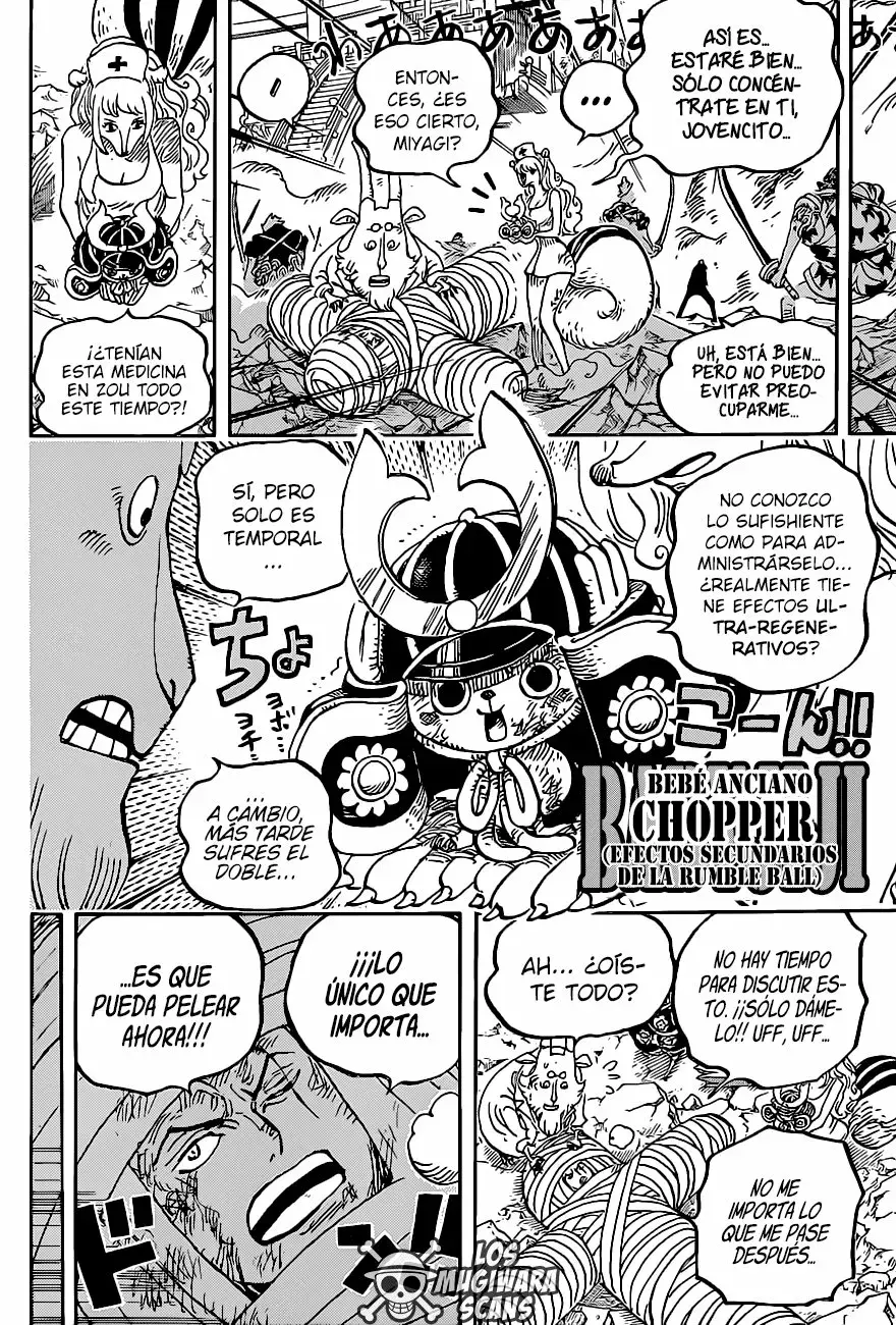 One Piece Capítulo 1017.5 - Page 13