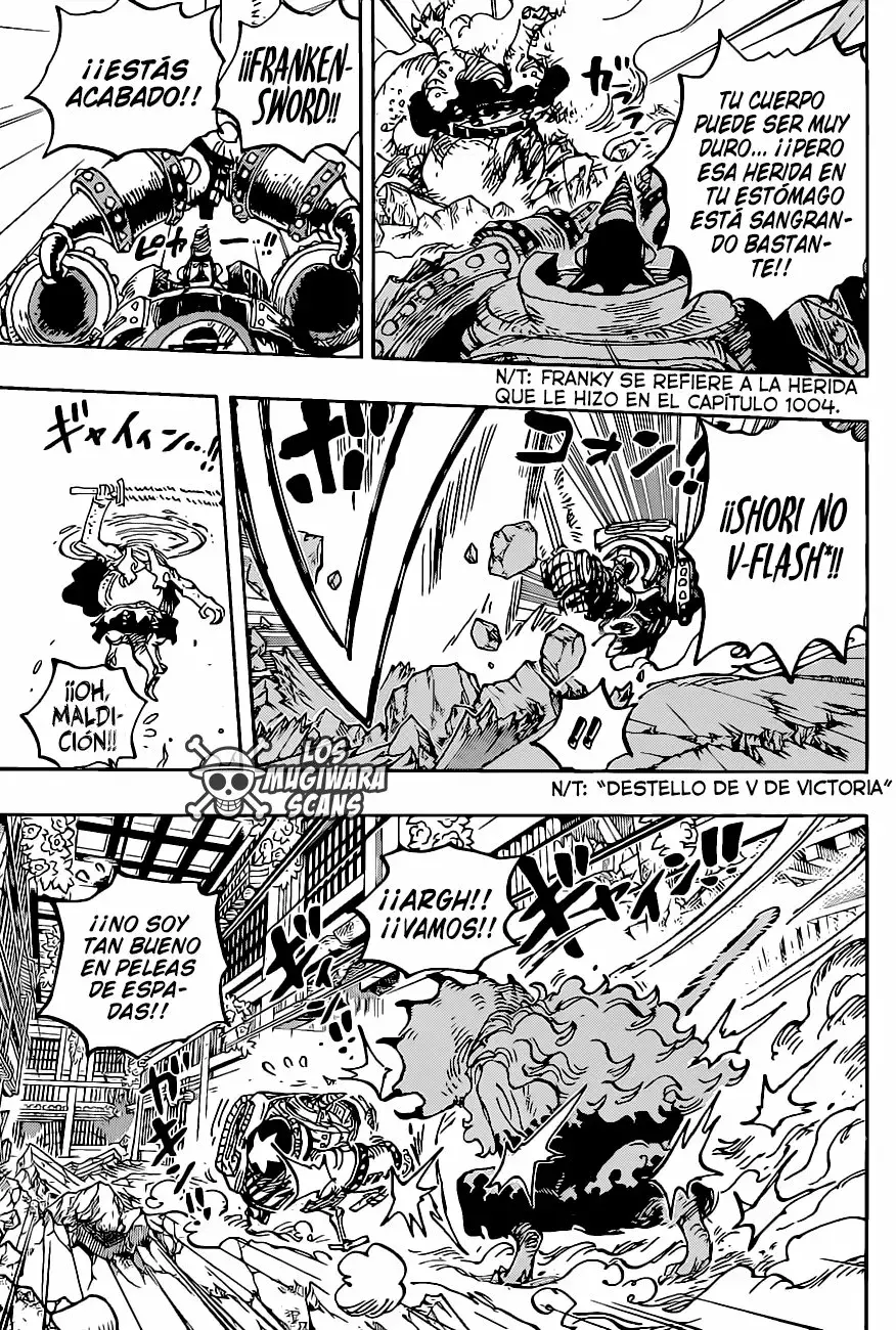 One Piece Capítulo 1019.5 - Page 14