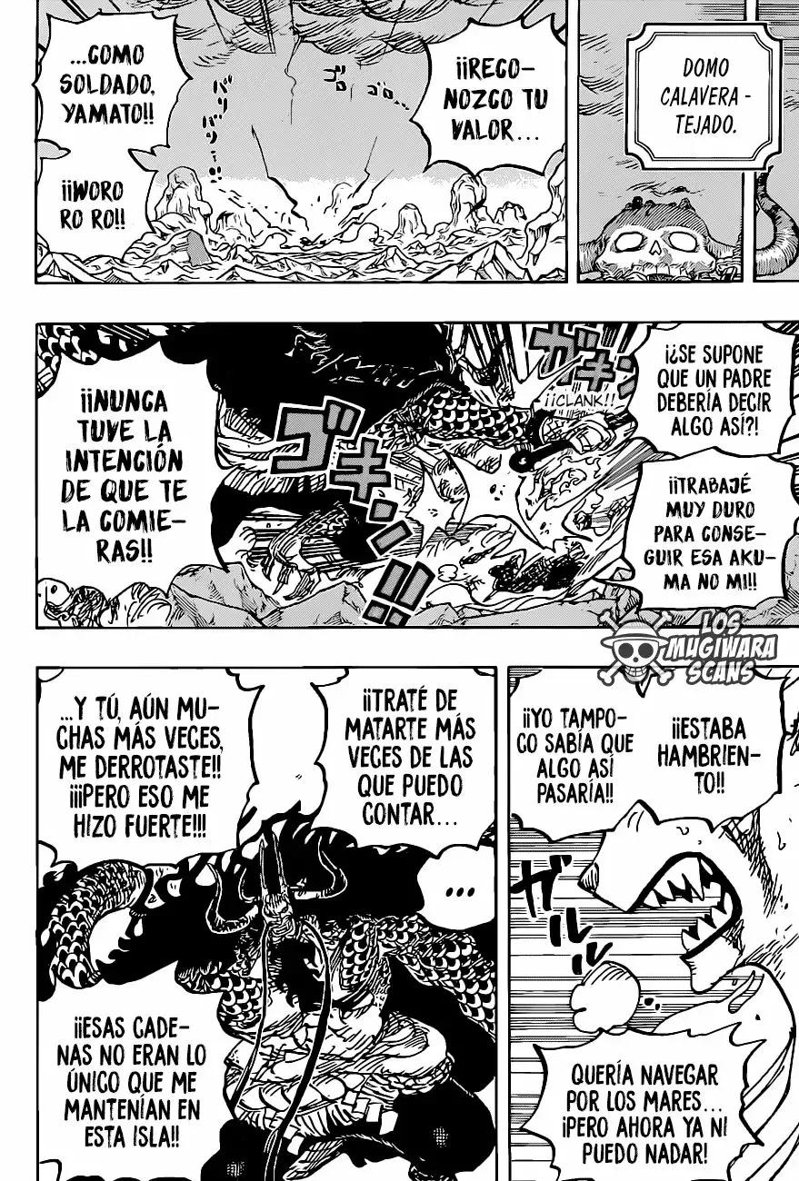 One Piece Capítulo 1019.5 - Page 18