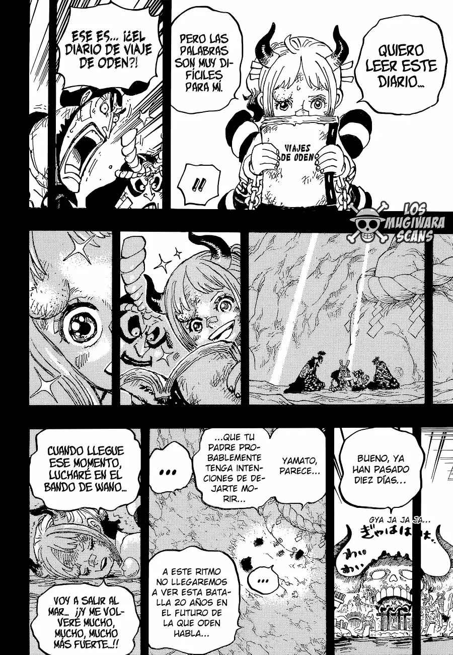 One Piece Capítulo 1024.5 - Page 17