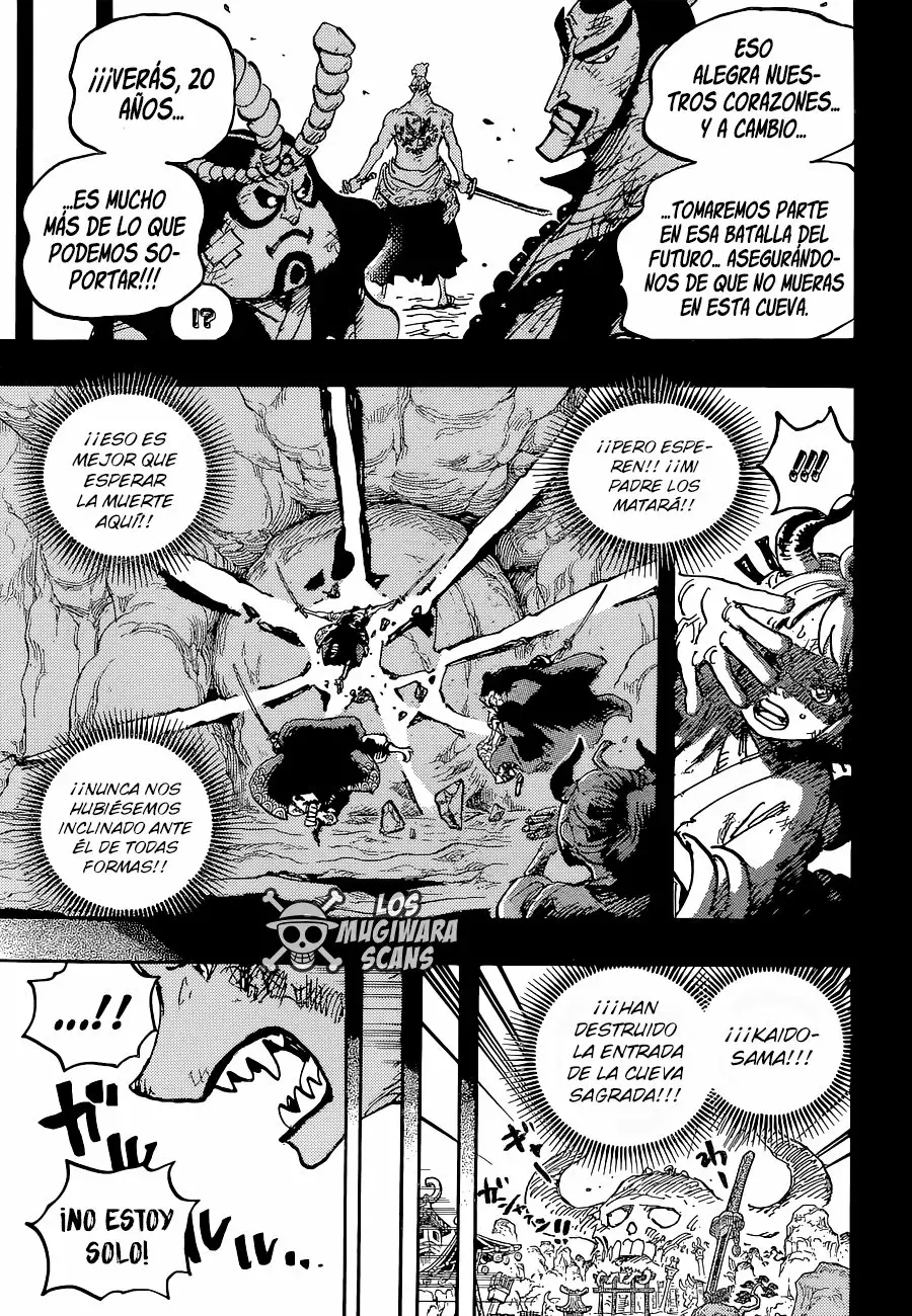 One Piece Capítulo 1024.5 - Page 18