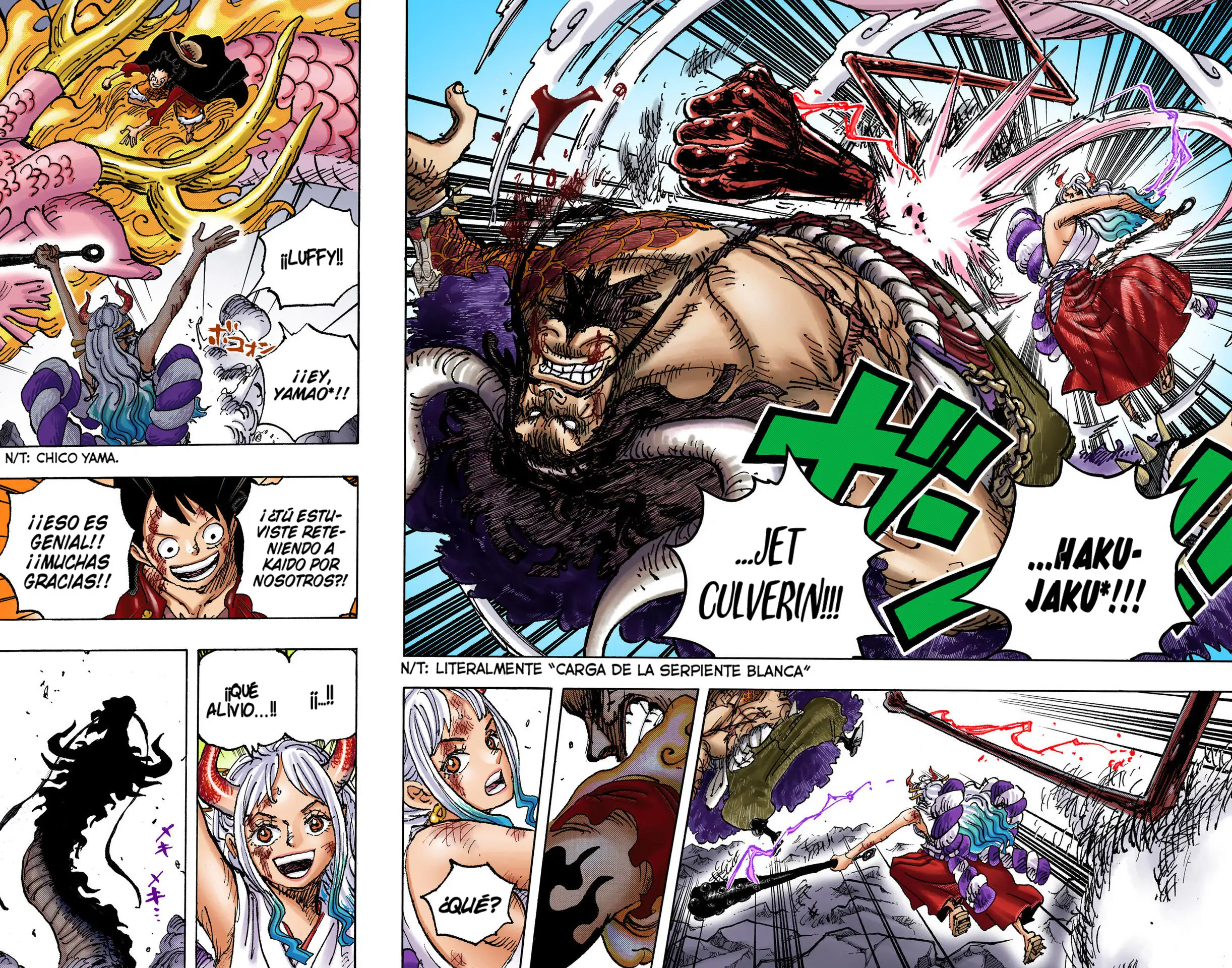 One Piece Capítulo 1025 - Page 13