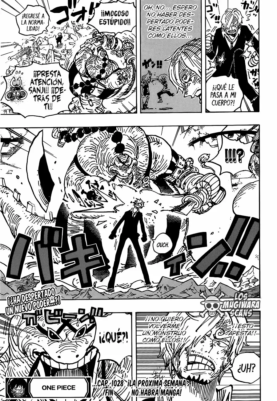 One Piece Capítulo 1028.5 - Page 18