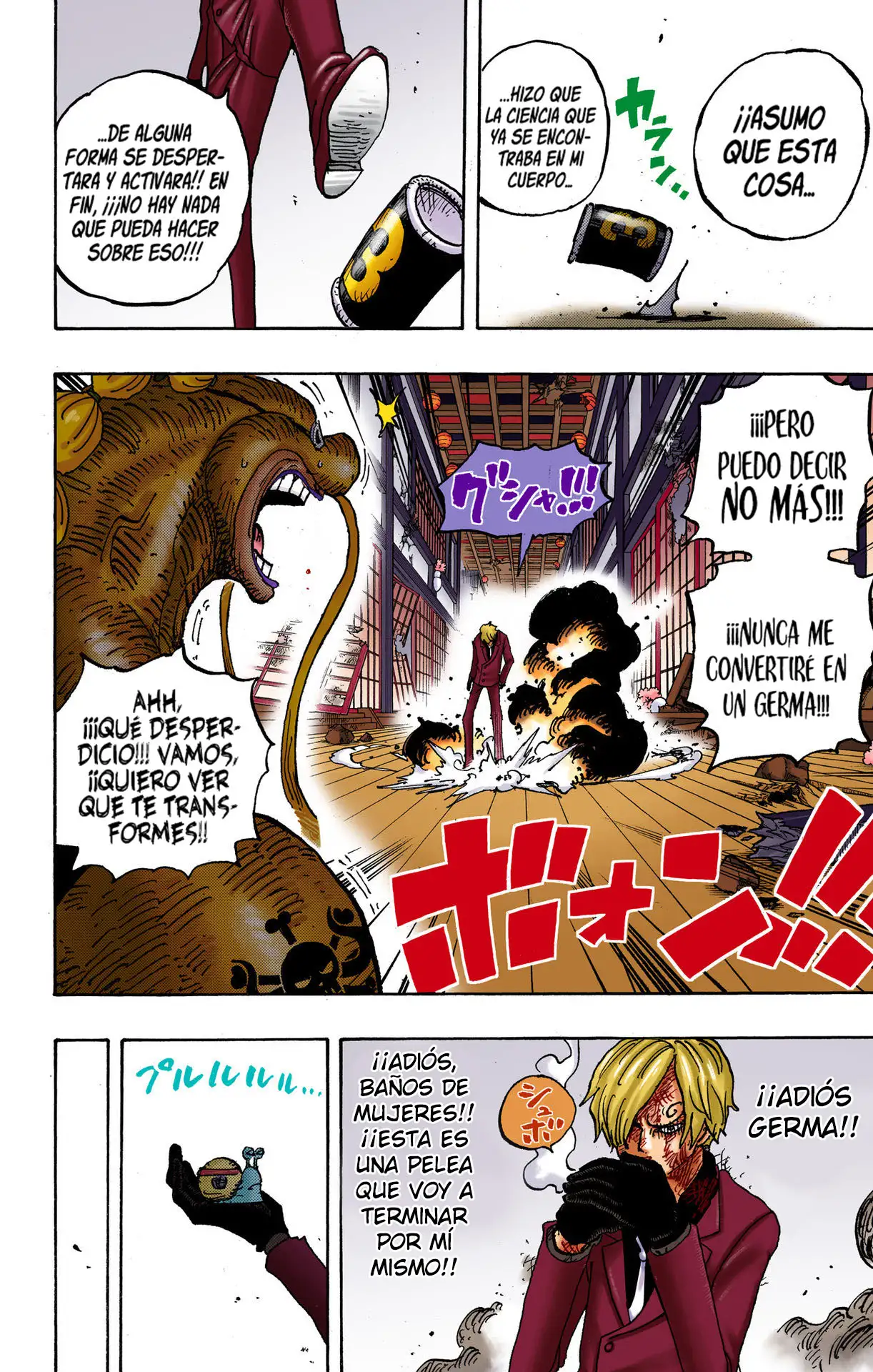 One Piece Capítulo 1031 - Page 15