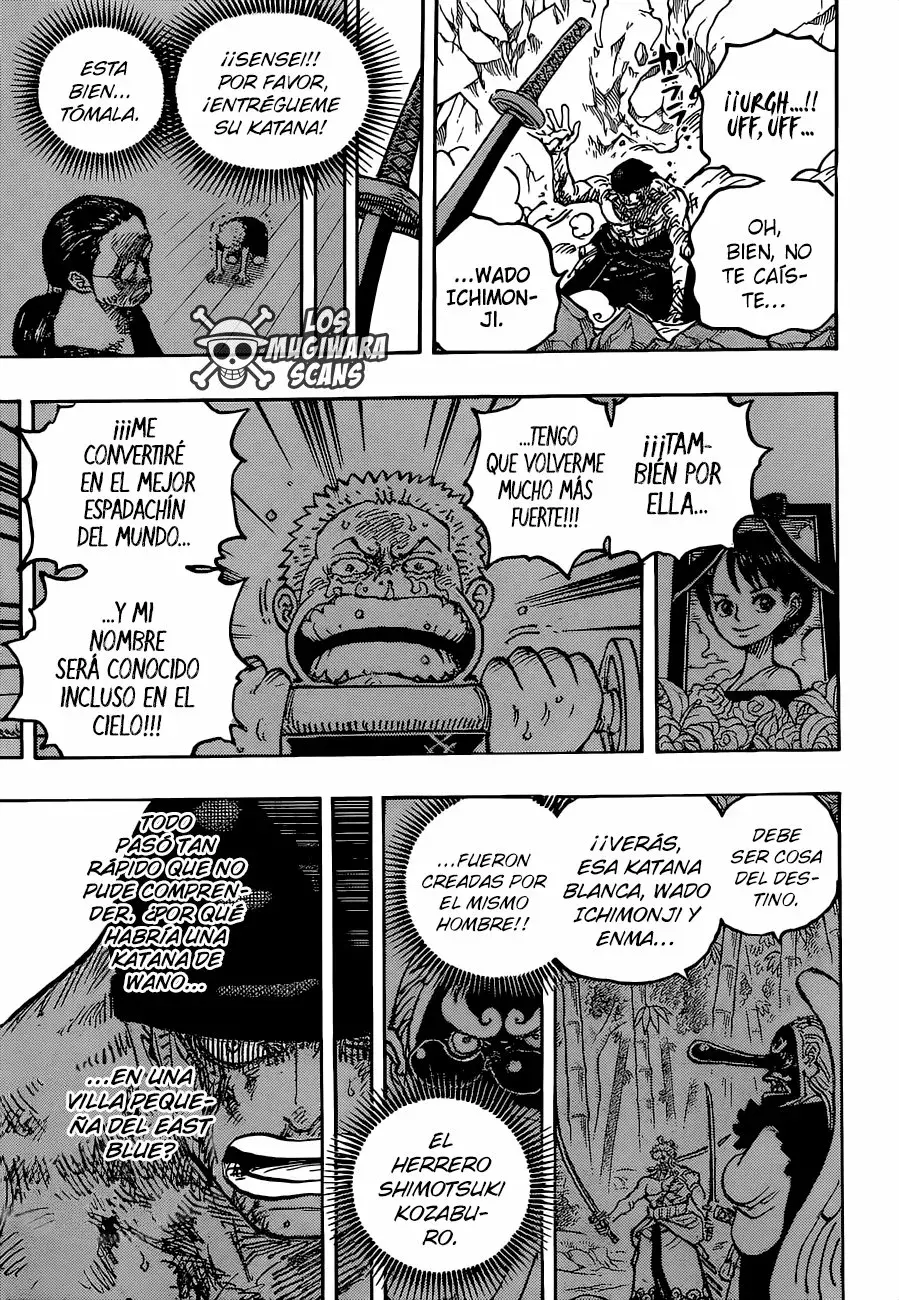 One Piece Capítulo 1033.5 - Page 10