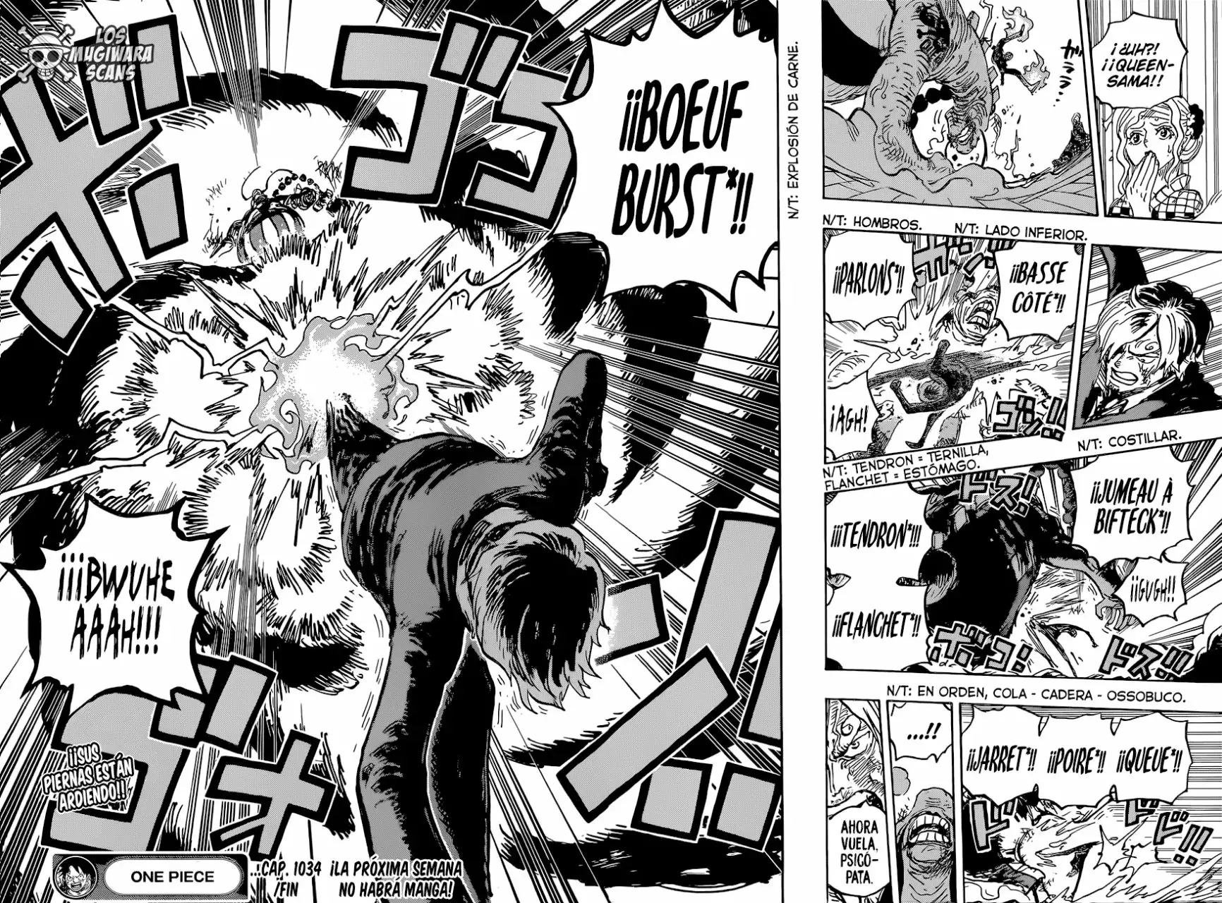 One Piece Capítulo 1034.5 - Page 14