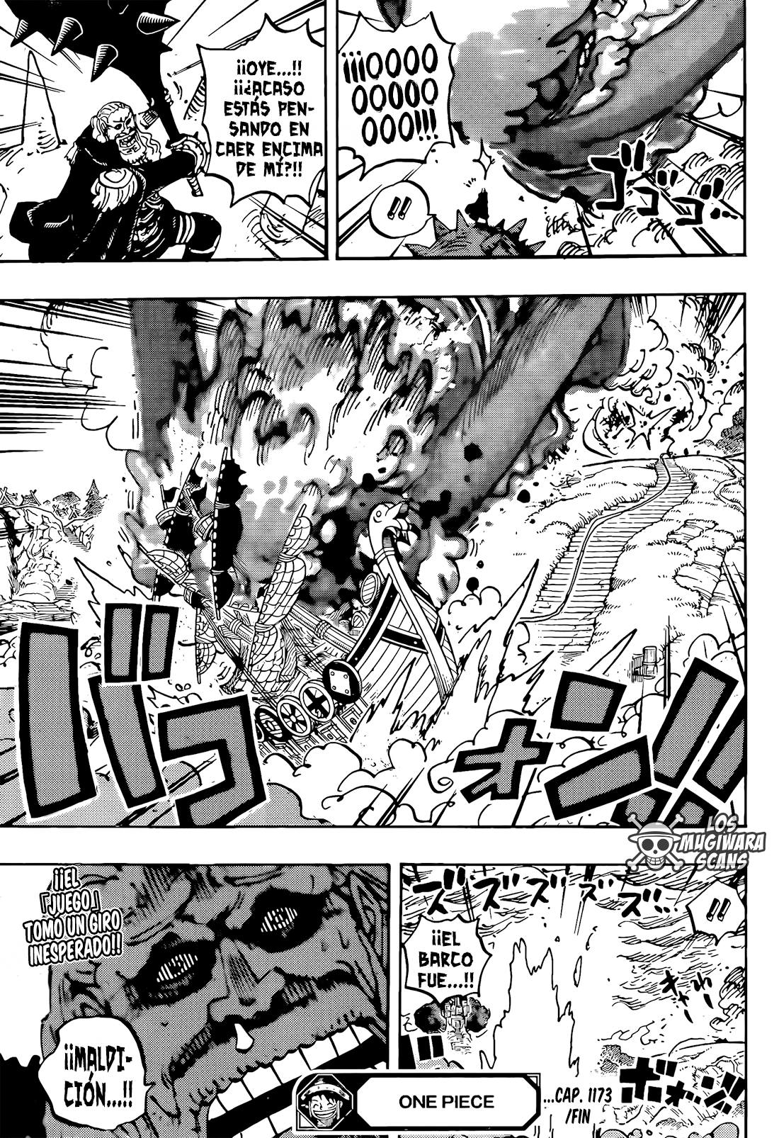 One Piece Capítulo 1173 - Page 15