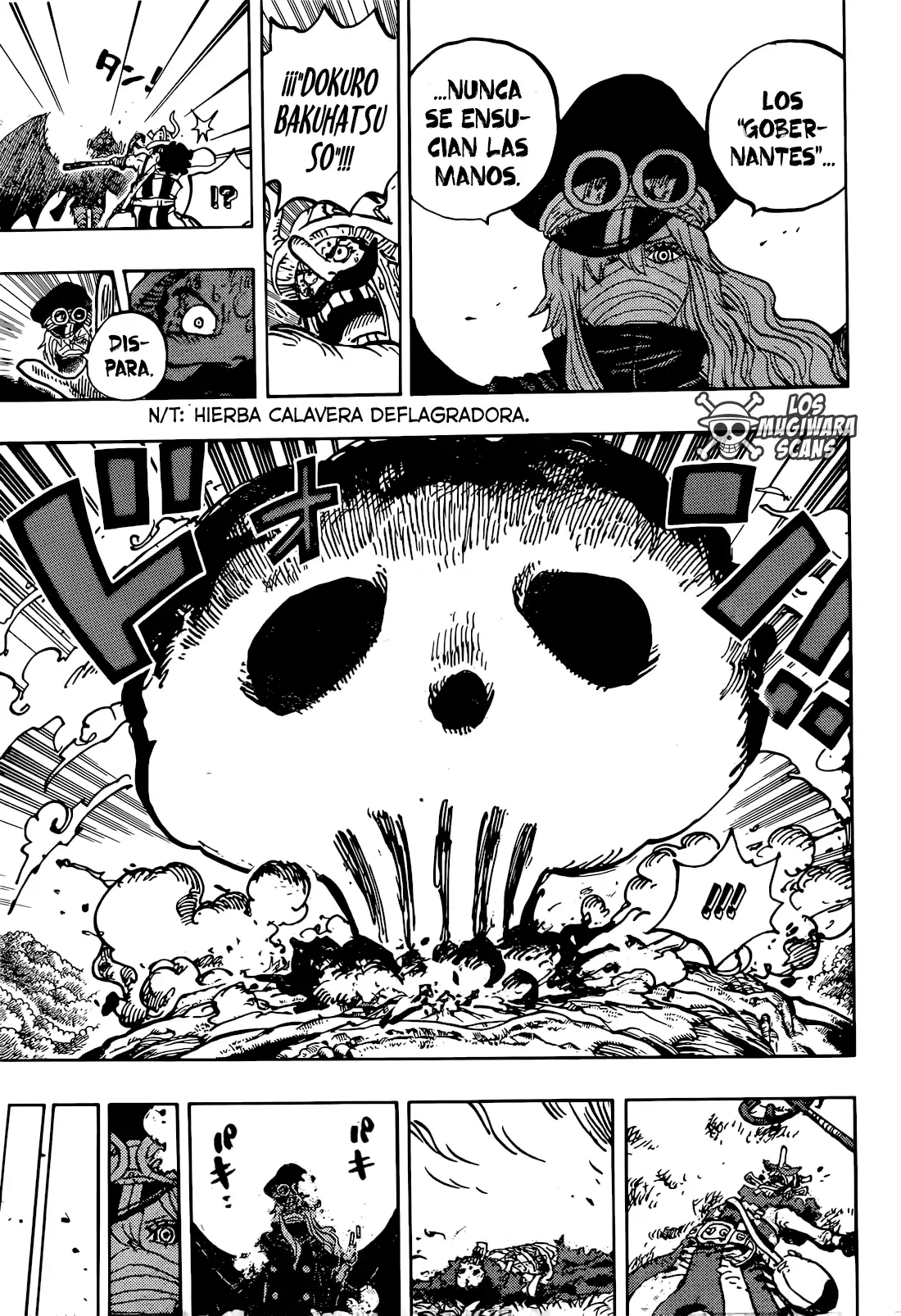 One Piece Capítulo 1177 - Page 17