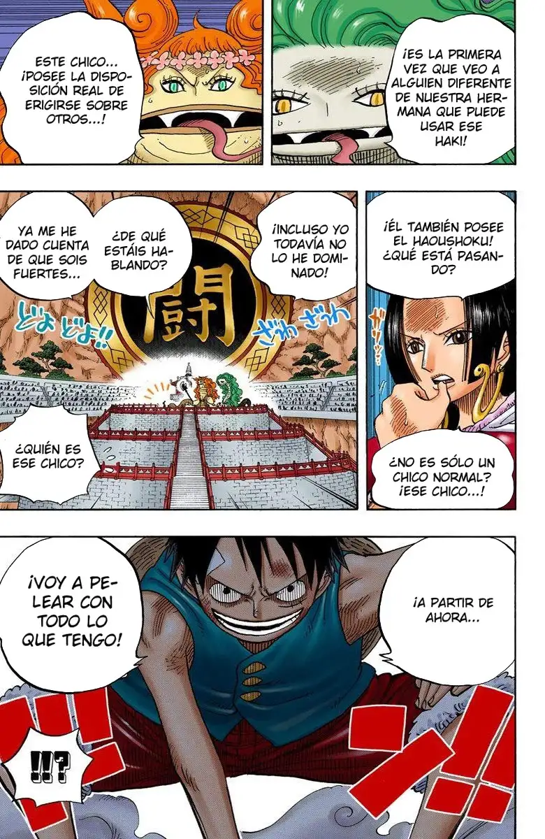 One Piece Capítulo 519 - Page 19