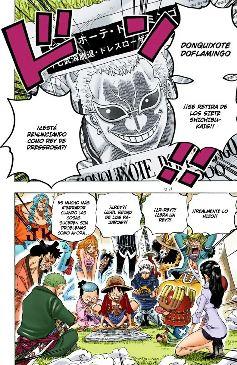 One Piece Capítulo 699 - Page 15