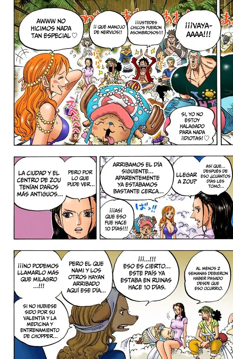 One Piece Capítulo 807 - Page 13