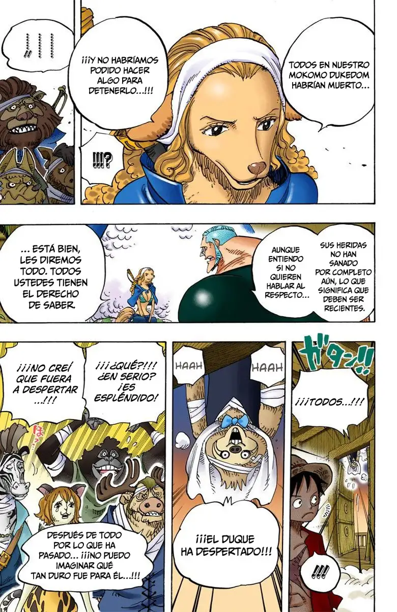 One Piece Capítulo 807 - Page 14