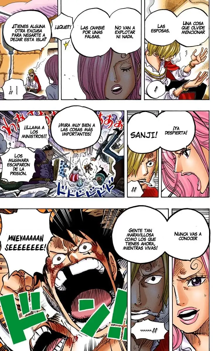 One Piece Capítulo 852 - Page 17