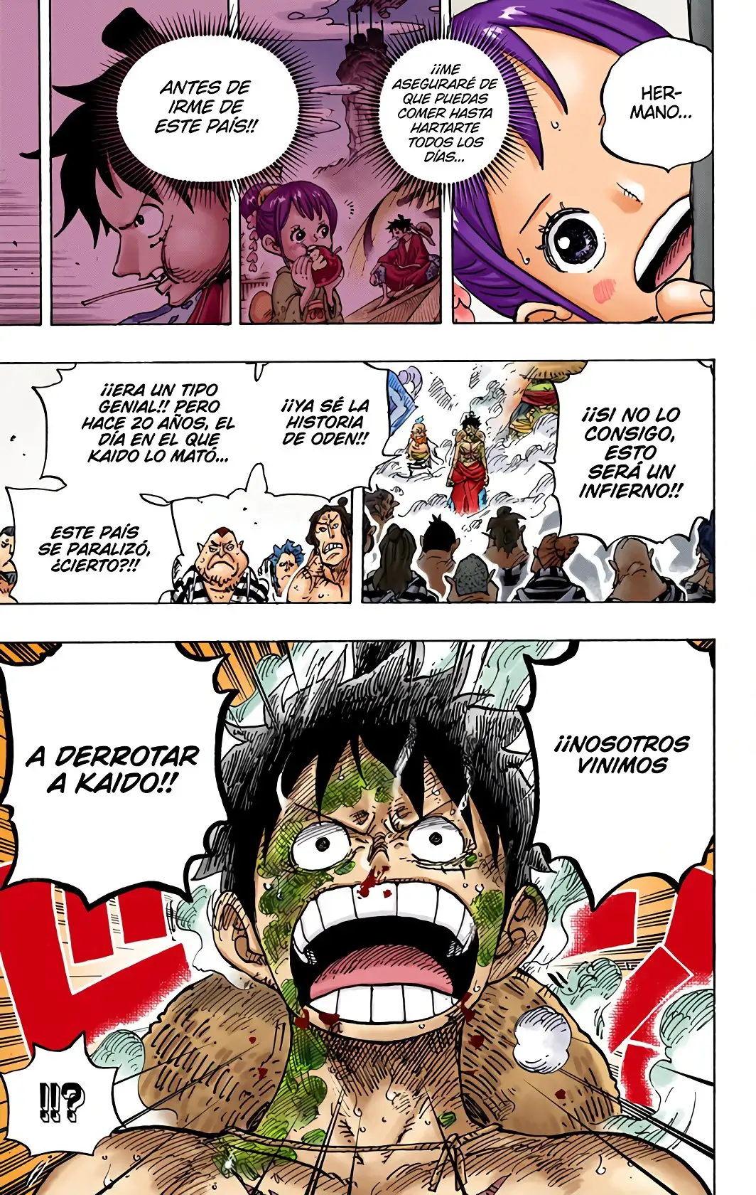 One Piece Capítulo 949 - Page 13