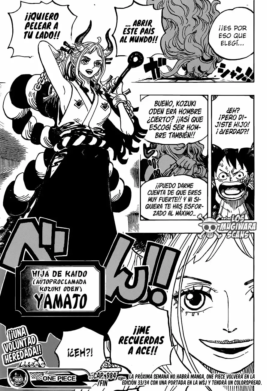 One Piece Capítulo 984.5 - Page 15