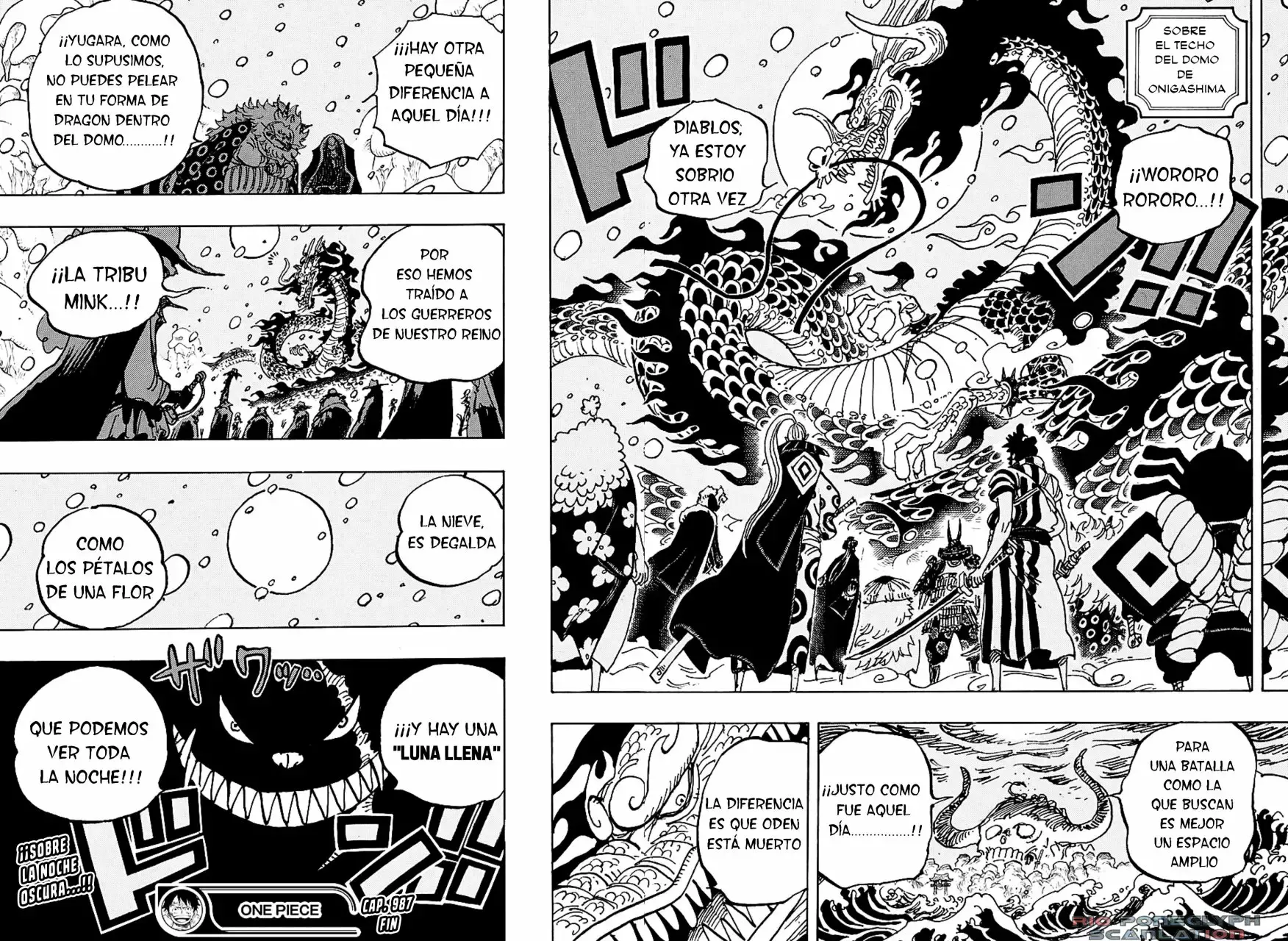 One Piece Capítulo 987.5 - Page 15