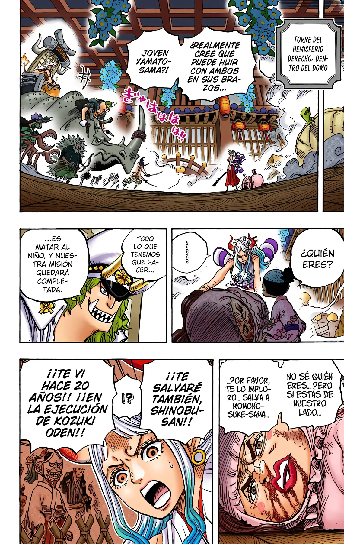 One Piece Capítulo 994 - Page 13