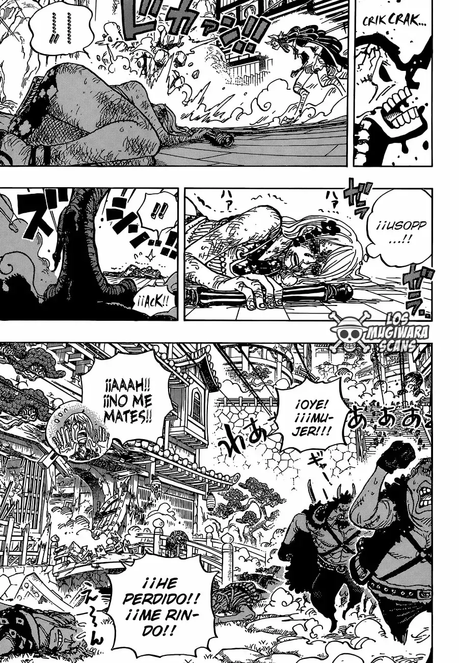 One Piece Capítulo 995.5 - Page 15