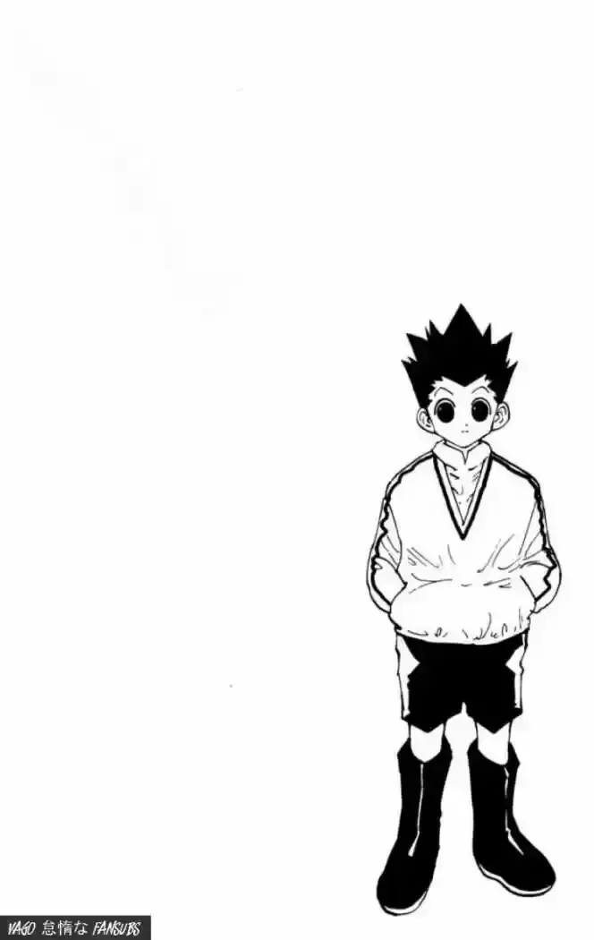 Hunter x Hunter Capítulo 110 - Page 12