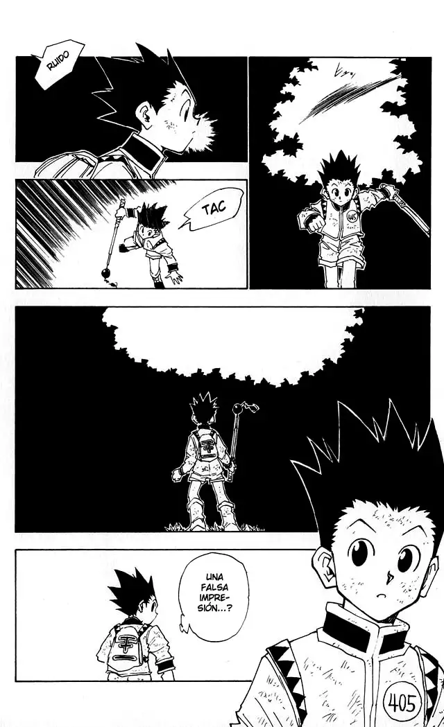 Hunter x Hunter Capítulo 23 - Page 17