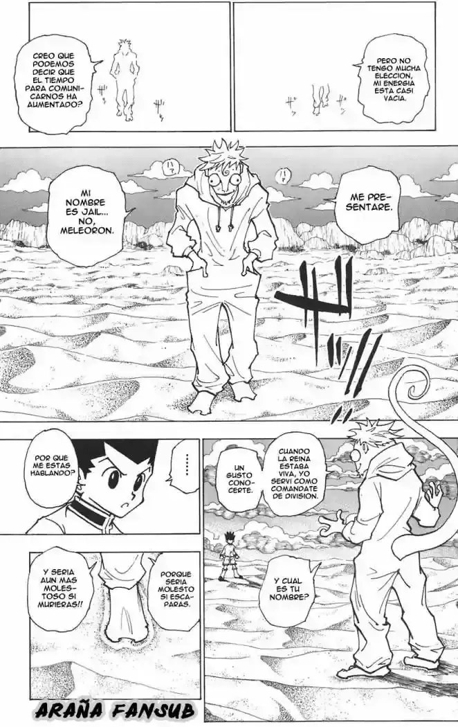 Hunter x Hunter Capítulo 241 - Page 13