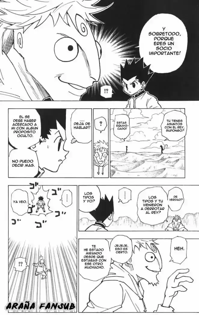 Hunter x Hunter Capítulo 241 - Page 14