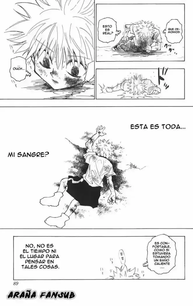 Hunter x Hunter Capítulo 241 - Page 3
