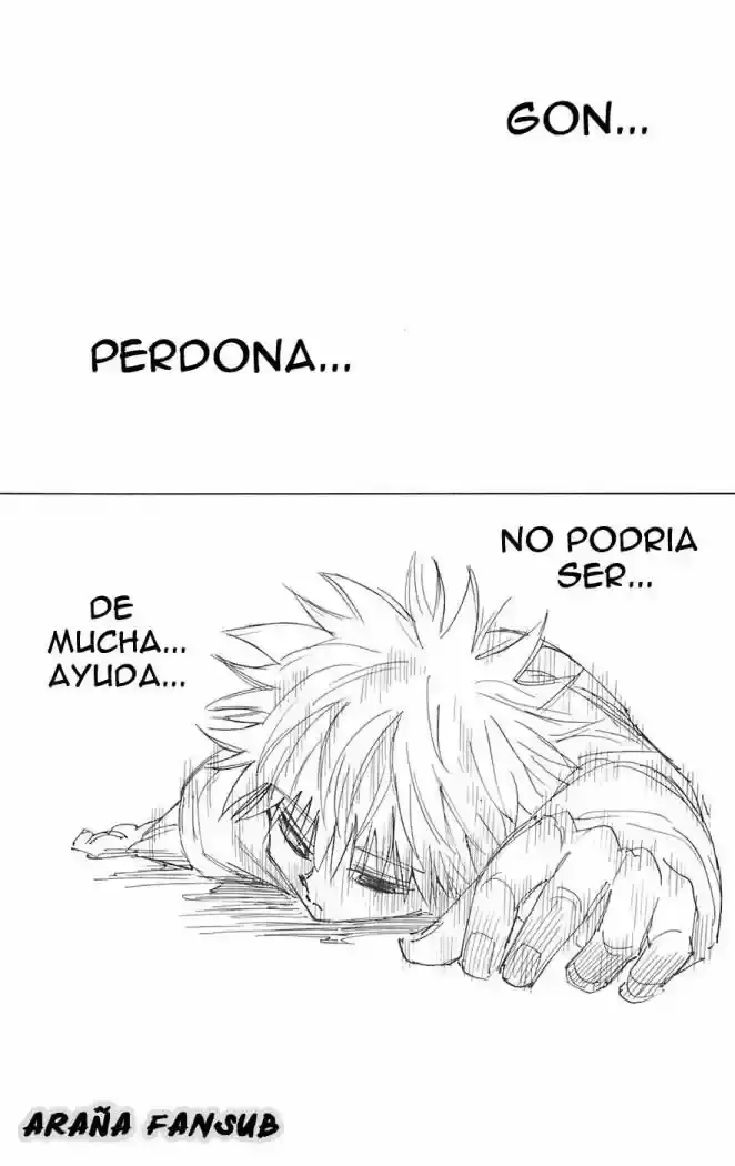 Hunter x Hunter Capítulo 241 - Page 5