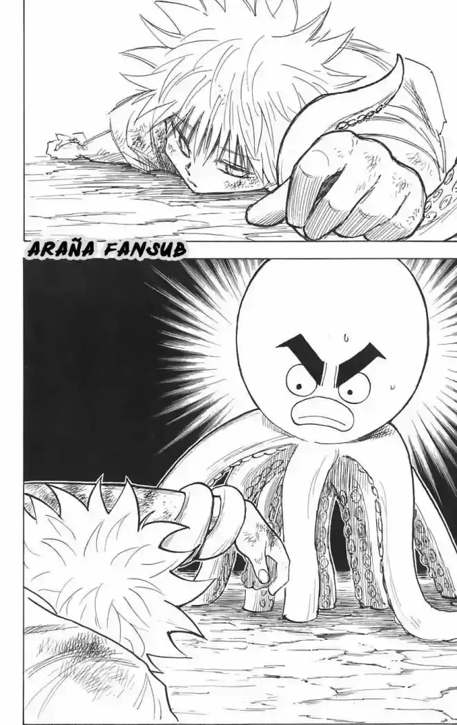 Hunter x Hunter Capítulo 241 - Page 6