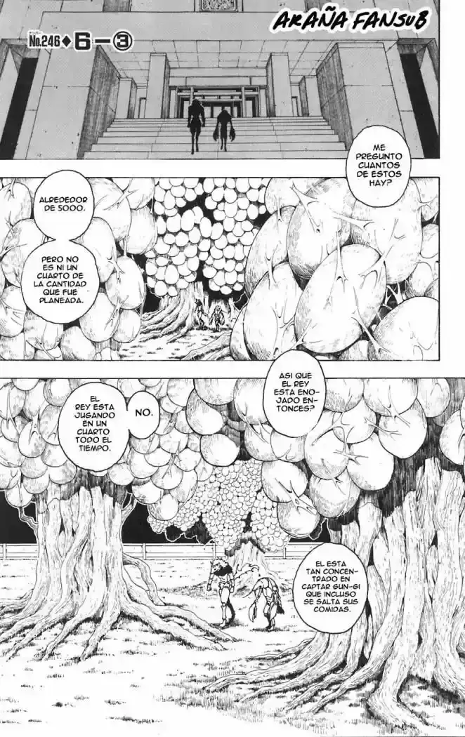 Hunter x Hunter Capítulo 246 - Page 1