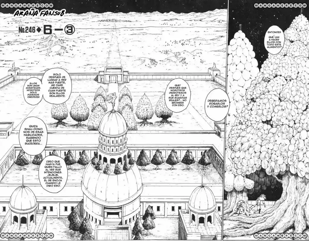 Hunter x Hunter Capítulo 246 - Page 2