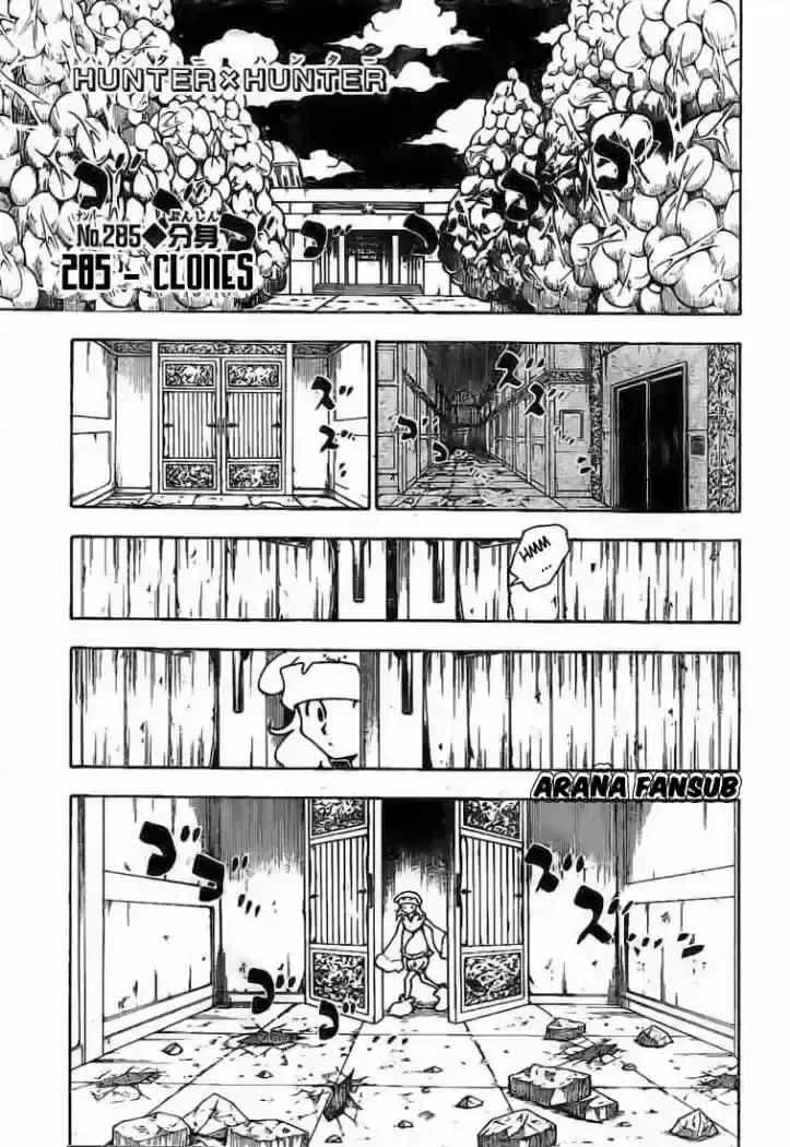 Hunter x Hunter Capítulo 285 - Page 1
