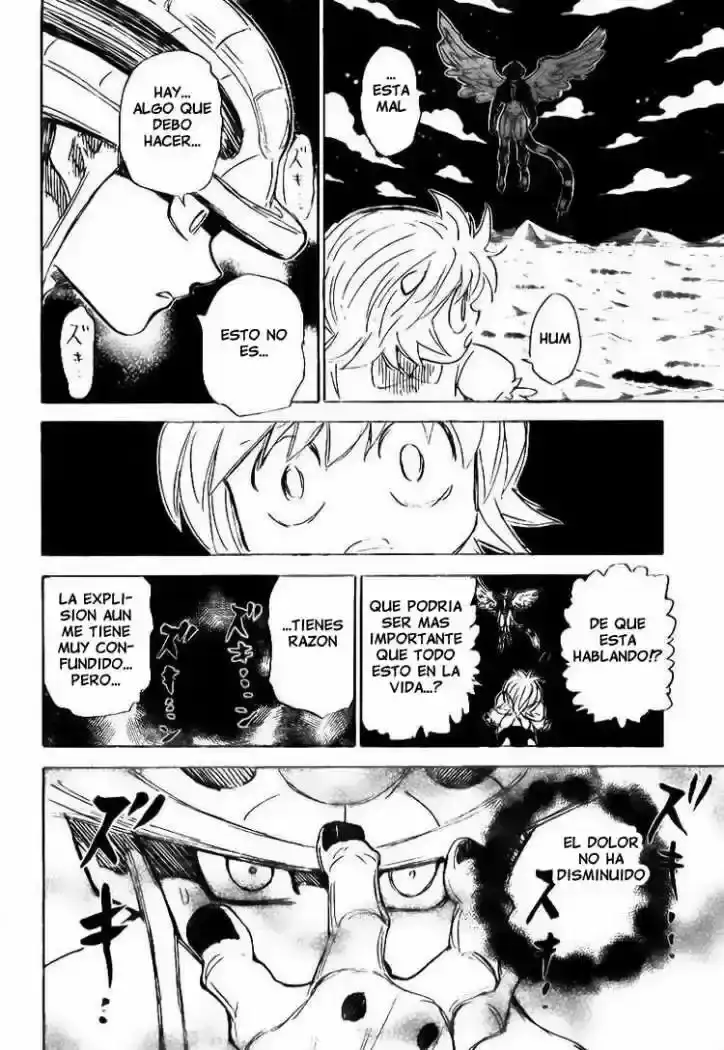 Hunter x Hunter Capítulo 303 - Page 16