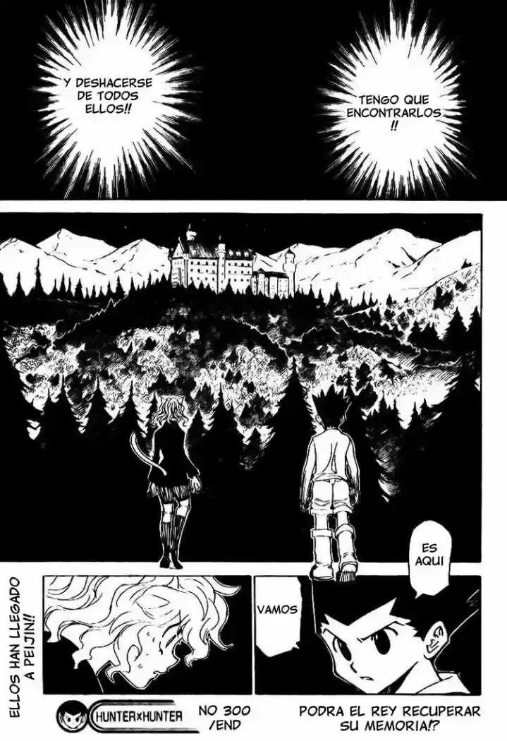 Hunter x Hunter Capítulo 303 - Page 19