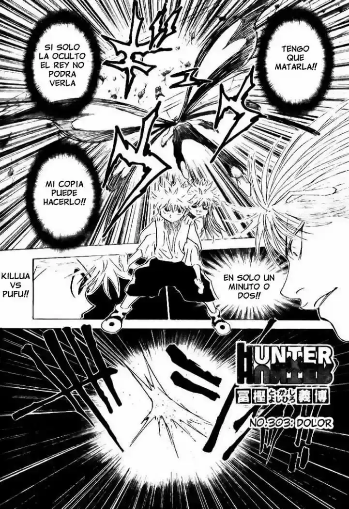 Hunter x Hunter Capítulo 303 - Page 2