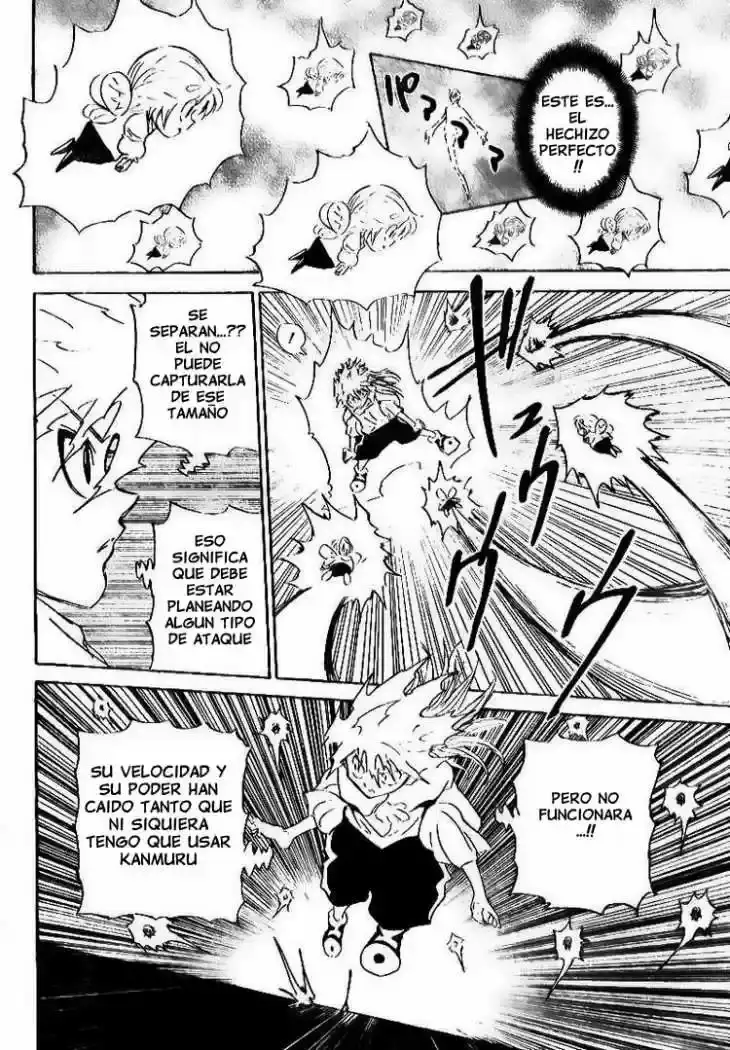 Hunter x Hunter Capítulo 303 - Page 5