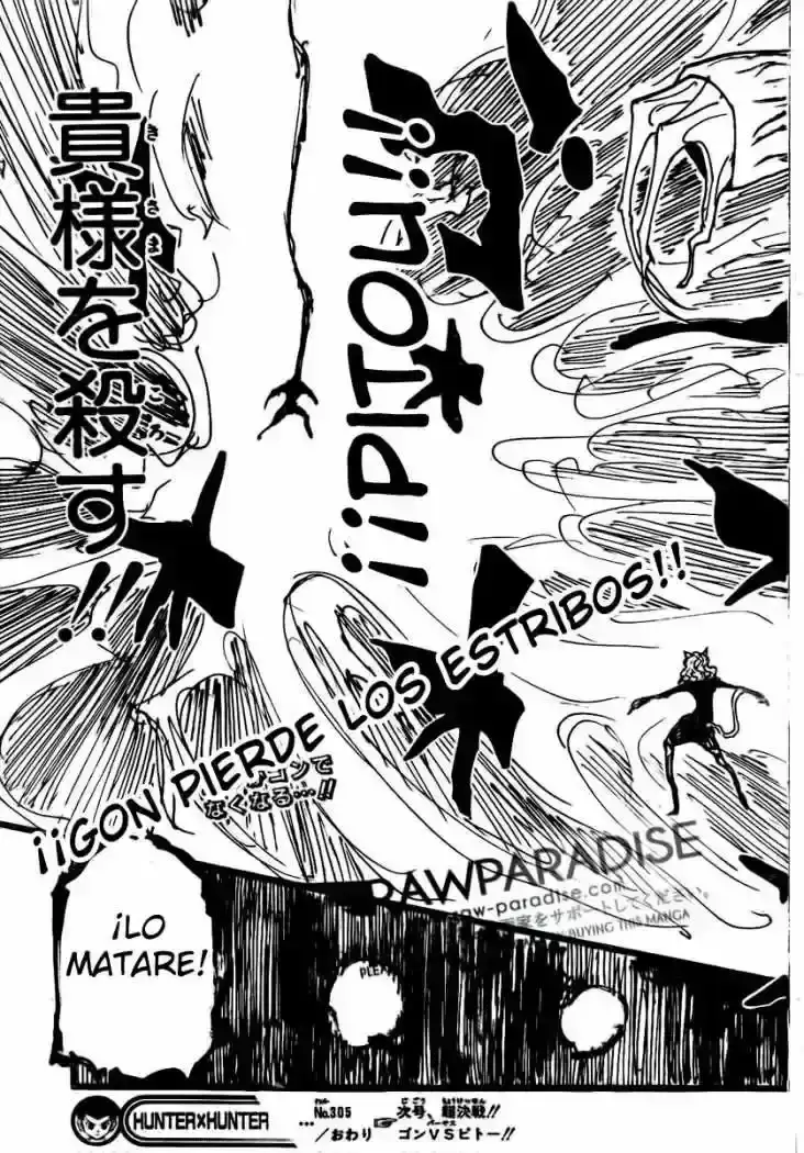Hunter x Hunter Capítulo 305 - Page 17